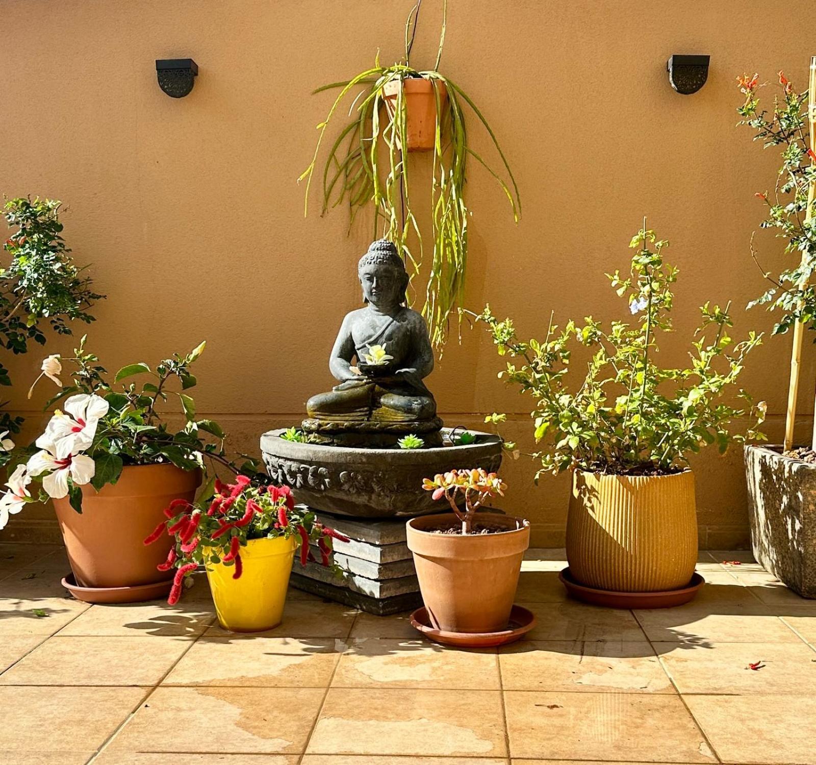 Terraza Del Sol